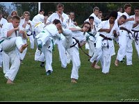 2016-06-22 231-border